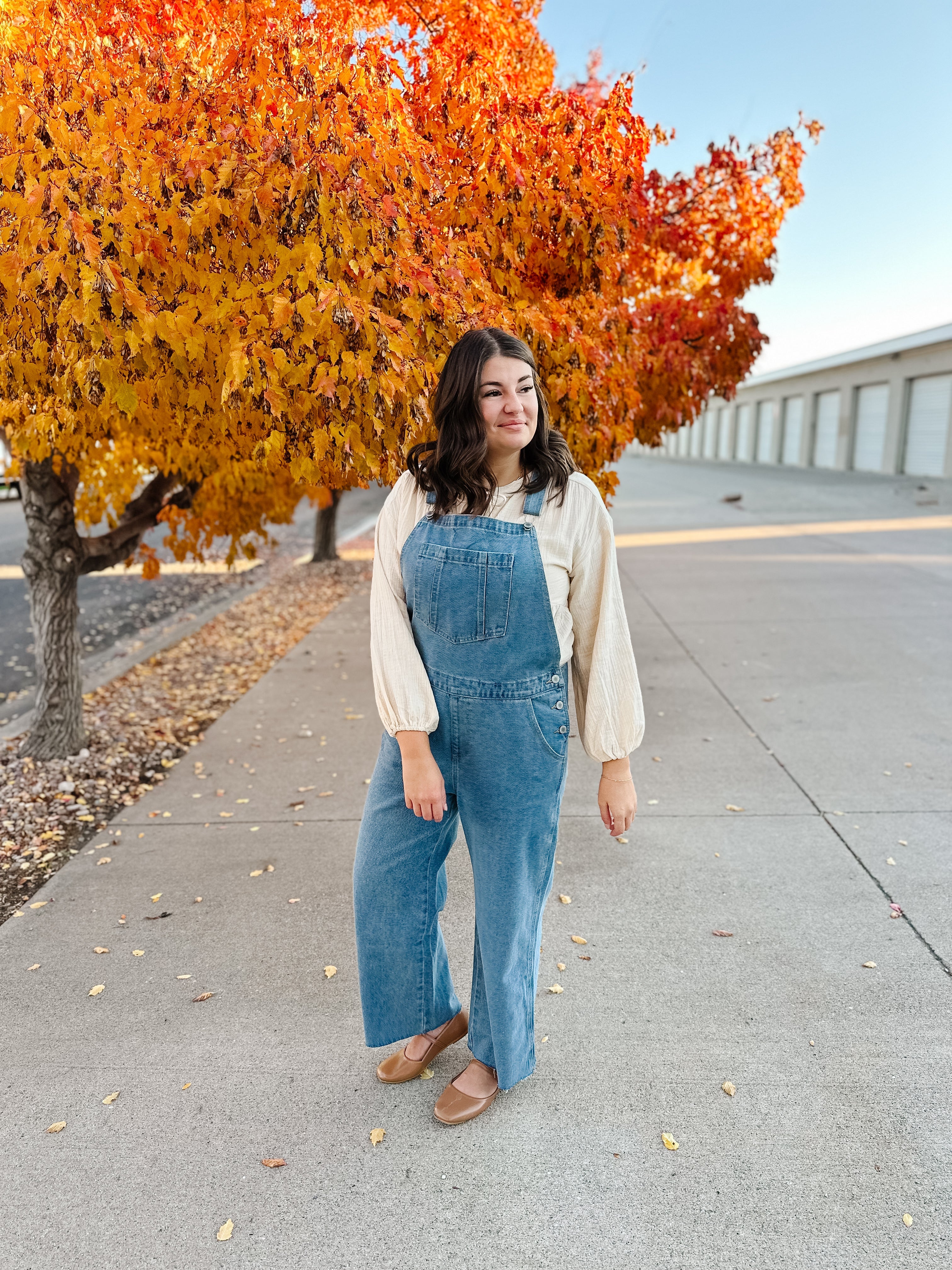 Abigail Denim Overalls